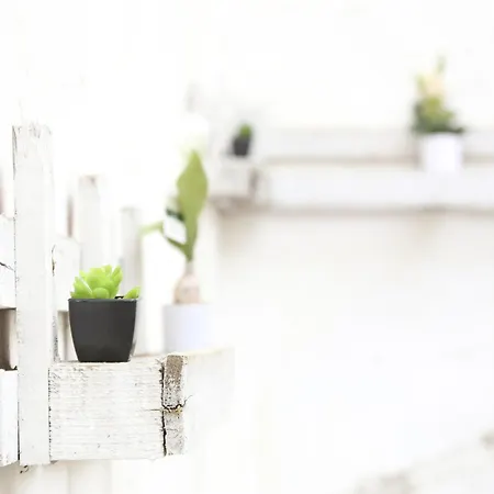 Corte Micetti 2- Centro Storico * Gallipoli