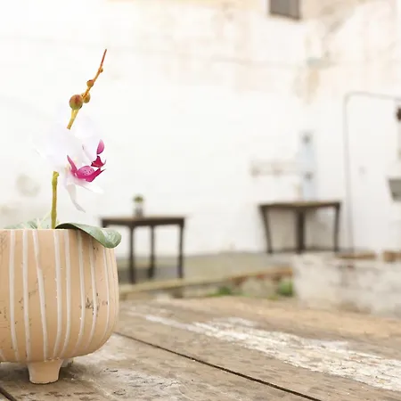 Corte Micetti 2- Centro Storico Διαμέρισμα *